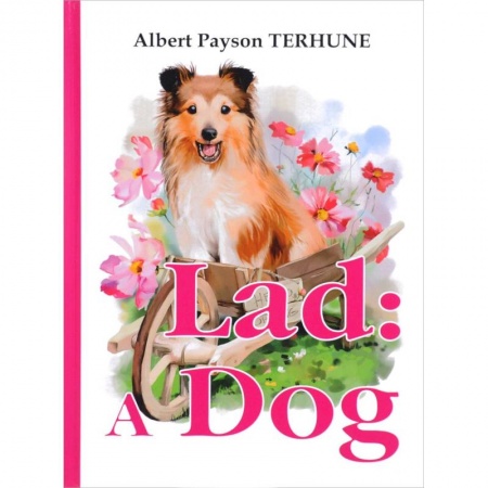 Чтение на английском языке, книга Lad. A Dog заказать