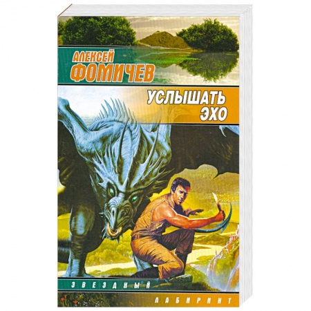 Книги, книга Услышать эхо заказать