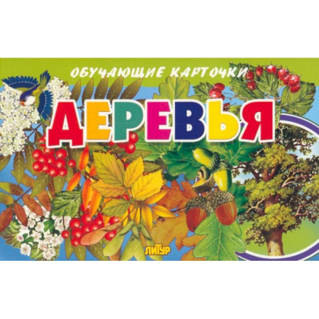Окружающий мир, книга Карточки. Деревья заказать