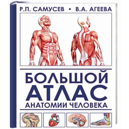 Медицинские энциклопедии и справочники, книга Большой атлас анатомии человека заказать