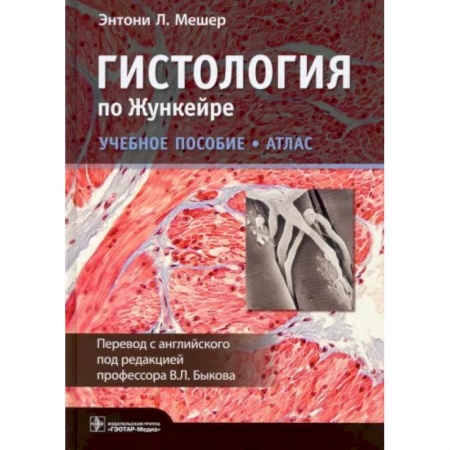 Кровь. Система кроветворения, книга Гистология по Жункейре.Атлас заказать