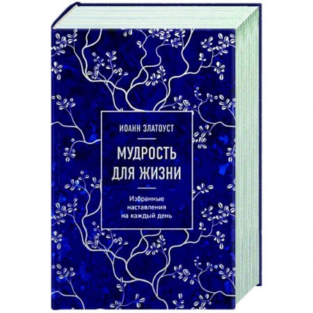 Православие в целом, книга Мудрость для жизни. Избранные наставления на каждый день заказать