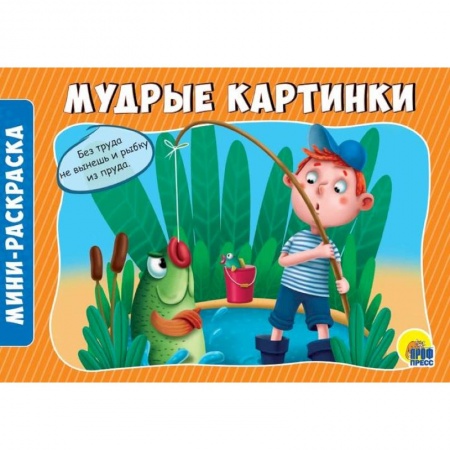 Раскраски на любой вкус, книга Раскраски А5. Альбомные. Мудрые картинки заказать