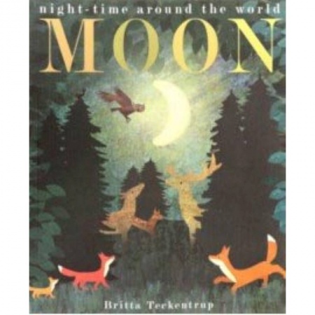 Чтение на английском языке, книга Patricia Hegarty: Moon заказать