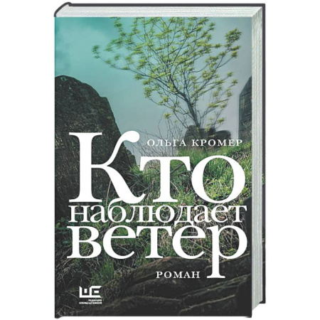 Русская современная проза, книга Кто наблюдает ветер заказать