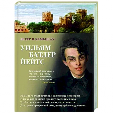 Зарубежная поэзия, книга Ветер в камышах заказать