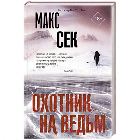Зарубежный детектив, книга Охотник на ведьм заказать