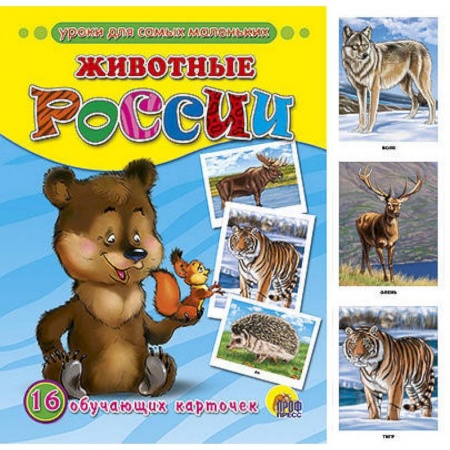 Книги, книга Обучающие карточки. Животные России заказать