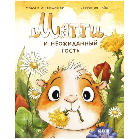 Сказки зарубежных писателей, книга Мэтти и неожиданный гость заказать