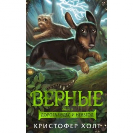 Сказки зарубежных писателей, книга Верные. Книга 3. Дорога чудес и невзгод заказать