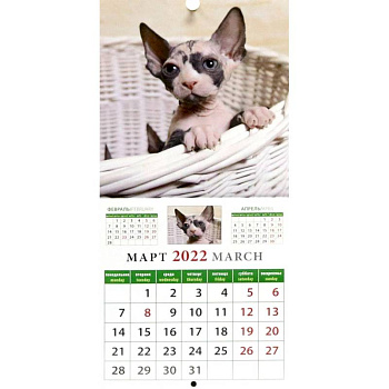 Календарь на 2022 год 'Забавные котята' (30205) Календарь на 2022 год 'Забавные котята' (30205)