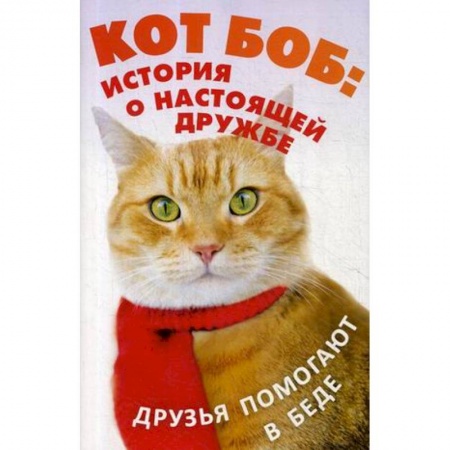 Повести и рассказы о животных, книга Кот Боб: история о настоящей дружбе (комплект из 2-х книг) заказать