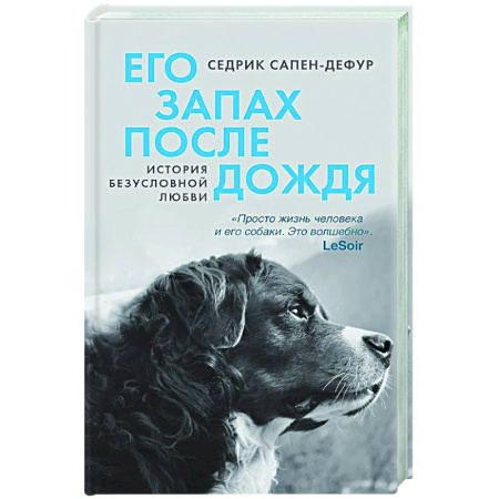 Зарубежная современная проза, книга Его запах после дождя заказать