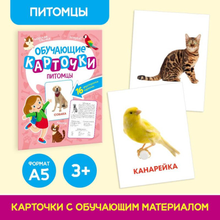 Книги для дошкольников (4-6 лет), книга Питомцы. 16 двусторонних карточек заказать