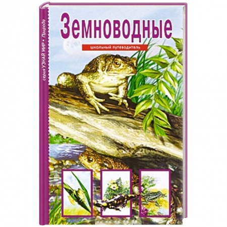 Книги, книга Земноводные. Школьный путеводитель заказать