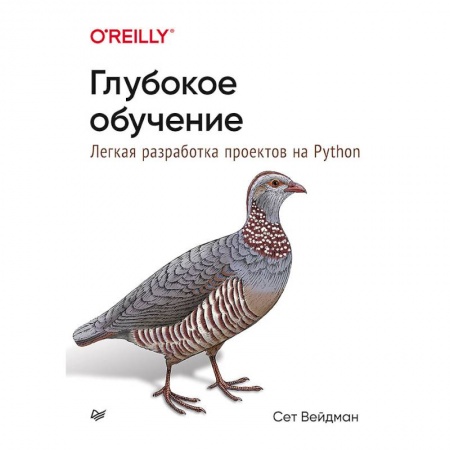 Информатика, книга Глубокое обучение.Легкая разраб.проектов на Python заказать