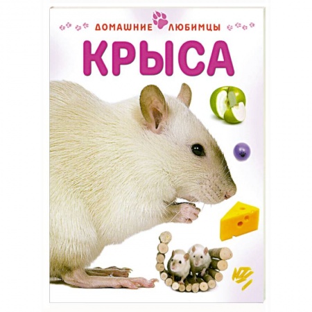 Книги, книга Крыса заказать