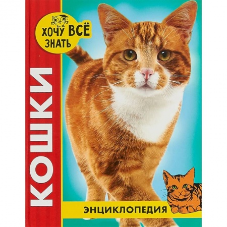 Животный и растительный мир, книга Хочу все знать. Кошки заказать