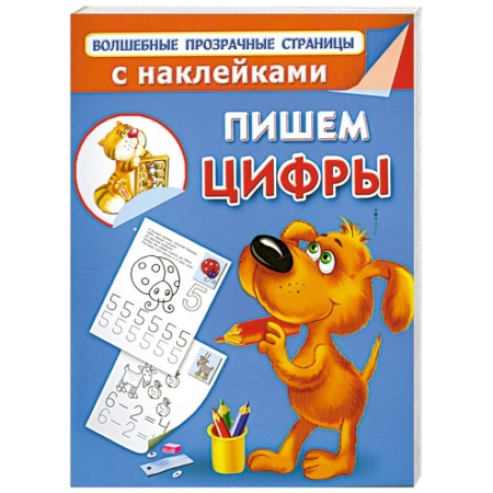 Книги, книга Пишем цифры заказать