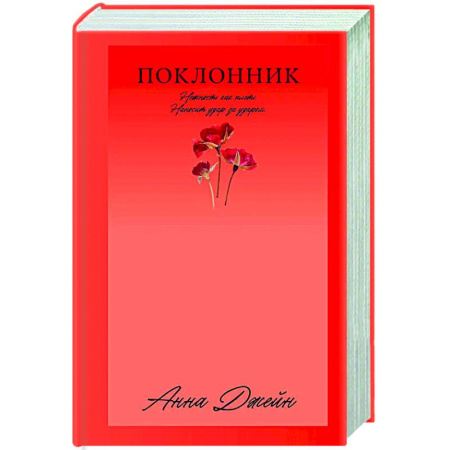 Отечественный любовный роман, книга Поклонник заказать