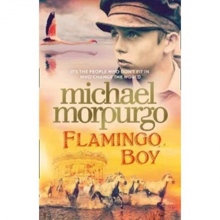 Чтение на английском языке, книга Flamingo Boy заказать