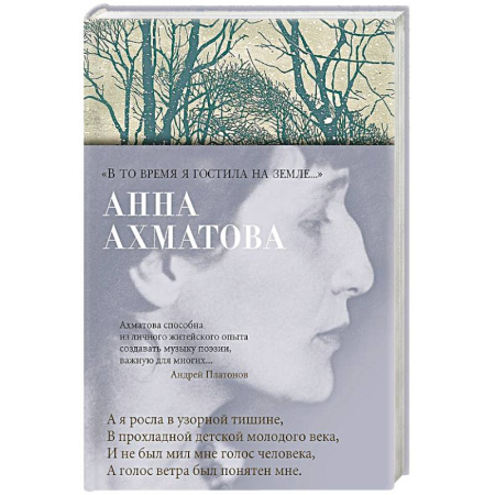 Русская поэзия, книга В то время я гостила на земле...' заказать