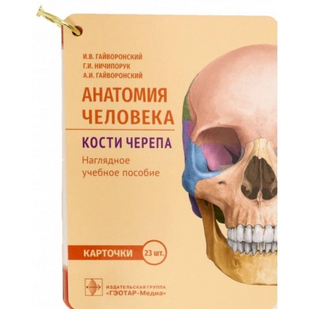 Специальная медицина, книга Анатомия человека. Кости черепа. 23 карточки заказать