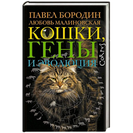 Зоология, книга Кошки, гены и эволюция заказать