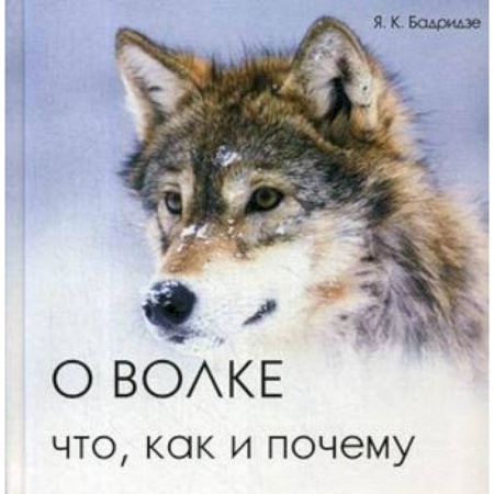 Зоология, книга О волке: что, как и почему заказать