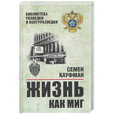 Другие биографии, мемуары, книга Жизнь как миг заказать