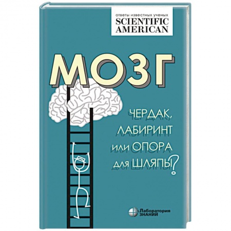 Анатомия и физиология человека, книга Мозг: чердак, лабиринт или опора для шляпы? заказать