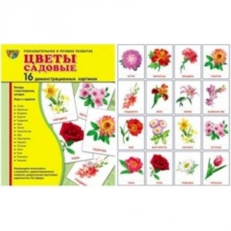 Книги, книга Цветы садовые. 16 демонстрационных картинок заказать