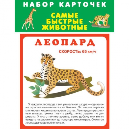Другое, книга Набор карточек. Самые быстрые животные заказать