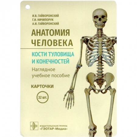 Специальная медицина, книга Анатомия человека. Кости туловища и конечностей. (карточки + кольцо для стяжки карточек) заказать