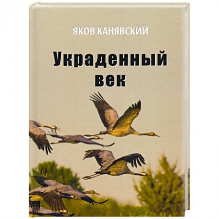 Русская современная проза, книга Украденный век заказать
