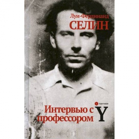 Зарубежная современная проза, книга Интервью с профессором Y заказать