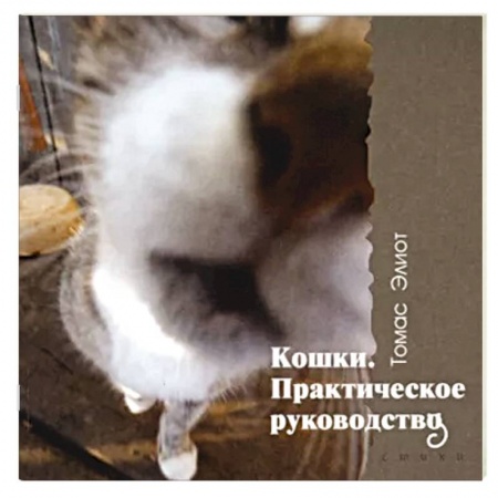 Книги, книга Кошки. Практическое руководство заказать