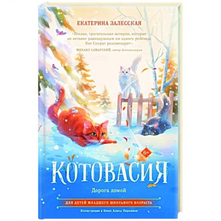 Сказки отечественных писателей, книга Котовасия. Дорога домой заказать