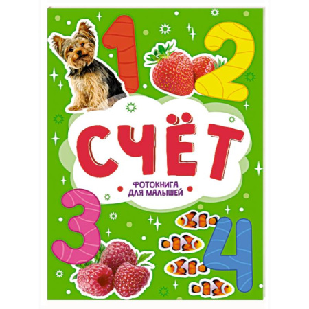 Книги для дошкольников (4-6 лет), книга Счет заказать