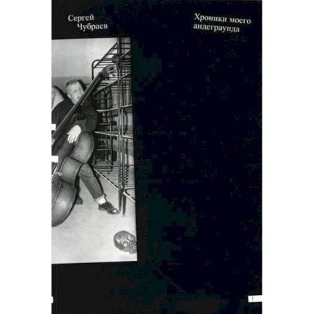 Эссе, письма, очерки, книга Хроники моего андеграунда заказать