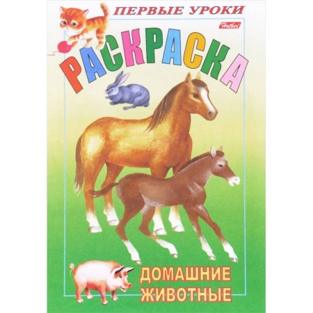 Раскраски, книга Первые уроки. Домашние животные заказать
