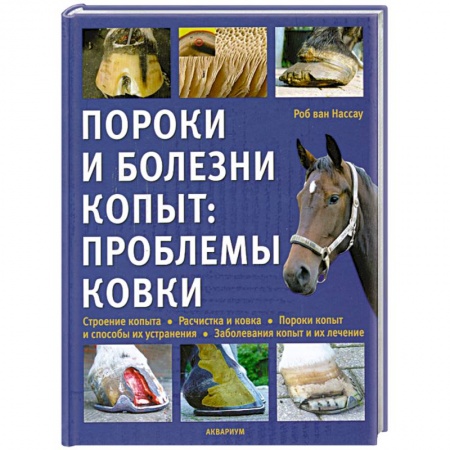 Книги, книга Пороки и болезни заказать