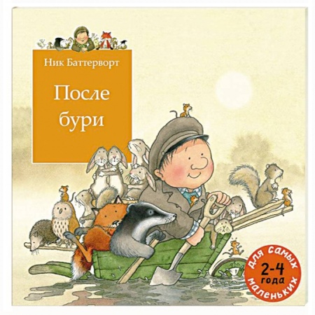 Книги, книга После бури заказать
