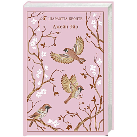Зарубежная классика, книга Джейн Эйр заказать