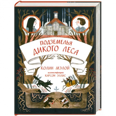 Книги, книга Подземелья Дикого леса заказать