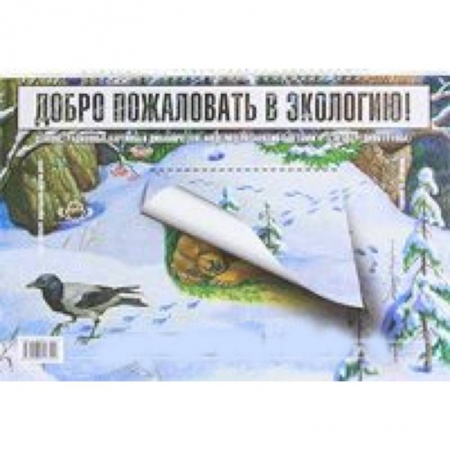 Книги, книга Добро пожаловать в экологию! Демонстрационные картины и динамические модели для занятий с детьми 4-5 лет (Средняяя группа) заказать