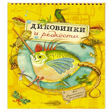 Другое, книга Моя удивительная коллекция. Диковинки и редкости заказать