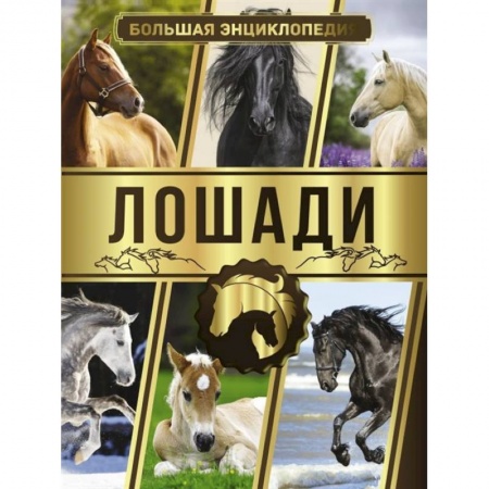 Приусадебное животноводство, книга Большая энциклопедия. Лошади заказать