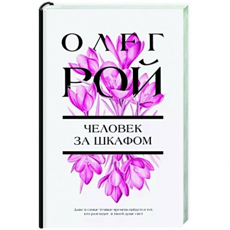 Отечественный любовный роман, книга Человек за шкафом заказать