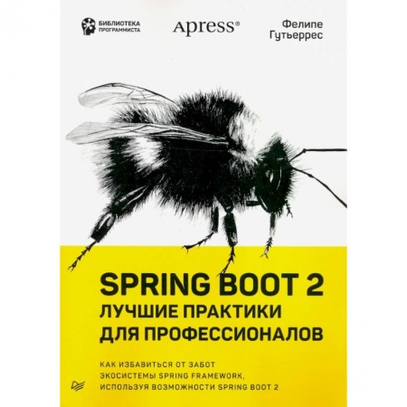 Информатика, книга Spring Boot 2:лучшие практики для профессионалов заказать
